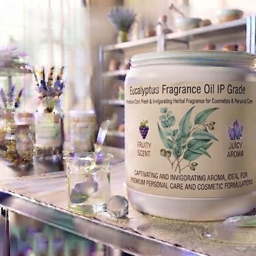 Eucalyptus Fragrance Oil IP Grade – Premium Cool, Fresh & Invigorating Herbal Fragrance bulk wholesale