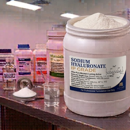 Sodium Hyaluronate IP Grade – Ultra-Pure Moisture-Locking Active bulk wholesale